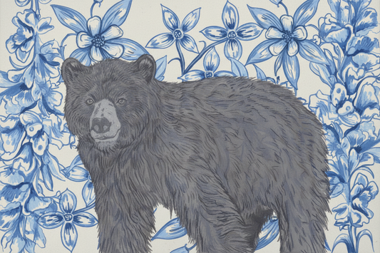 Appalachian Black Bear Canvas Print