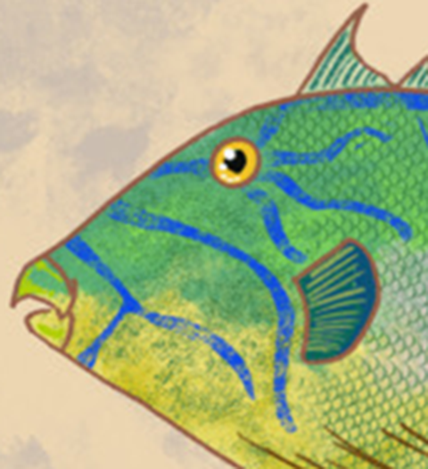 Naturalist Queen Triggerfish  Fine Art Print 12" x 18"