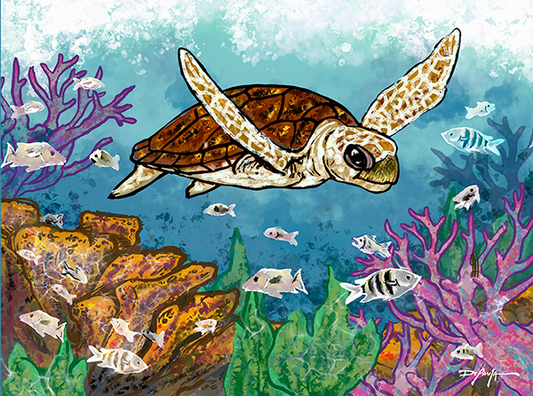Turtle Reef Fine Art Canvas Print 18" x 24"