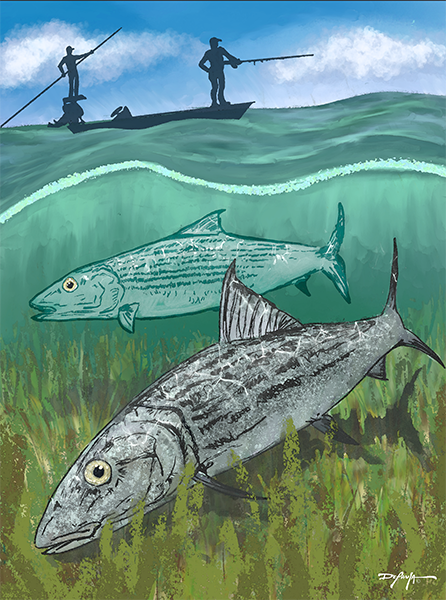Bonefish Flats Fishing Fine Art Canvas Print 18" x 24"