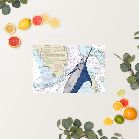 Blue Marlin Nautical Chart Fine Art Print 12" x 18"