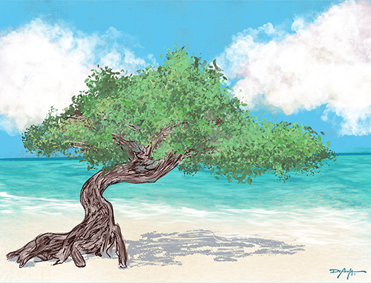 Aruba's Fofoti Tree on the Beach Fine Art Canvas 18 x 24"
