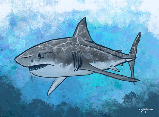 Sea Life Impression Great White Shark Fine Art Canvas Print 18" x 24"