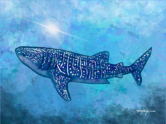Sea Life Impression Whale Shark Fine Art Canvas Print 18" x 24"