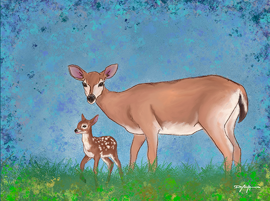 Key Deer Fine Art Canvas Print 18" x 24"