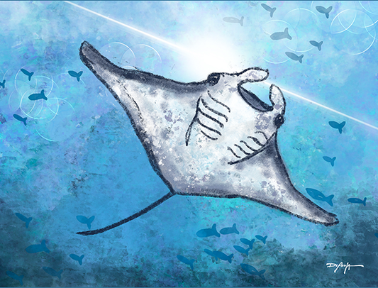 Sea Life Impression Manta Ray Fine Art Canvas Print 18" x 24"