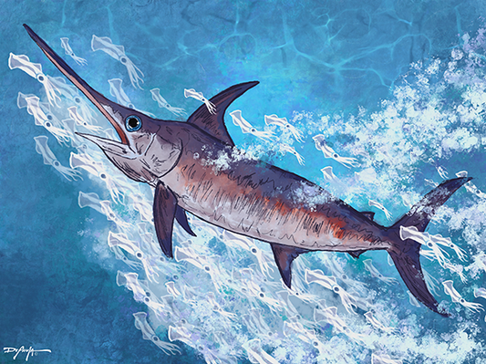 Swordfish Fine Art Canvas 18" x 24"