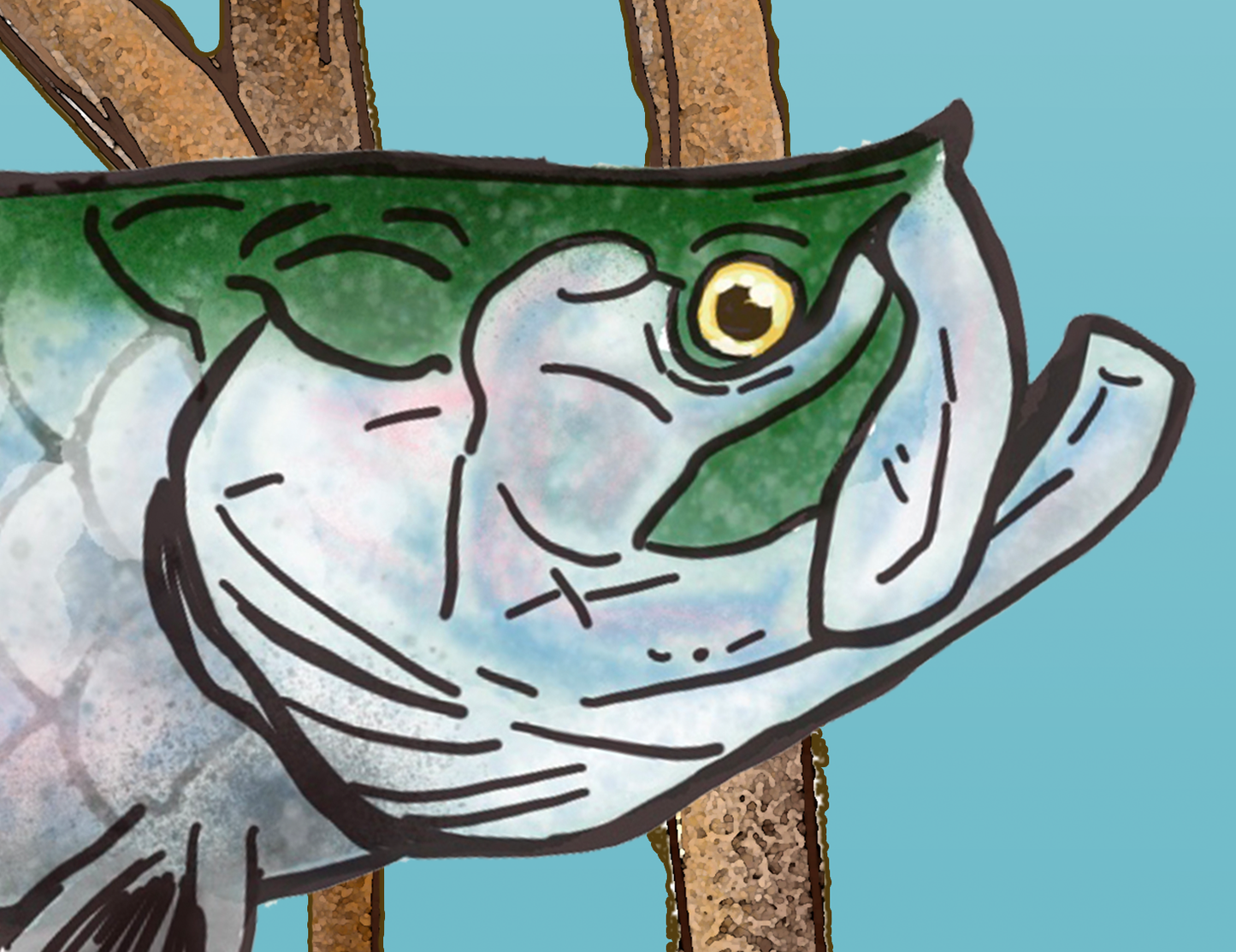 Tarpon in the Mangroves Fine Fish Art Canvas Print 18" x 24"