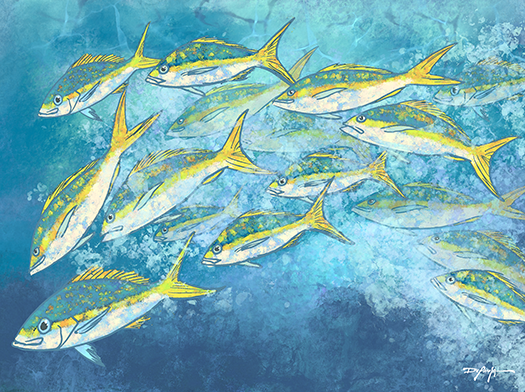 Yellowtail Fish School Fine Art Canvas 18" x 24"